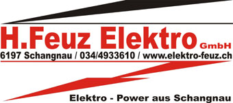 Logo Feuz Elektro HP